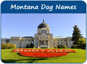 Montana Dog Names