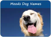 Moods Dog Names