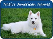 Native American Dog Names