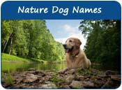 Nature Dog Names