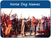 Norse Dog Names