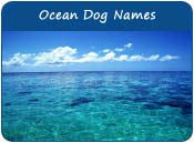 Ocean Dog Names