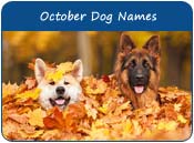 October Dog Names