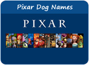 Pixar Dog Names