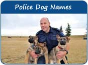 Police Dog Names