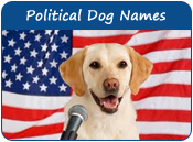 Political Dog Names