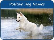 Positive Dog Names