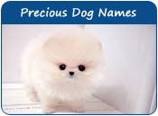 Precious Dog Names