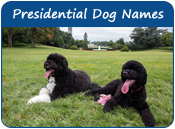 Presidential Dog Names