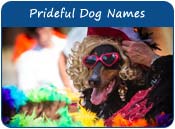 Prideful Dog Names