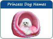 Princess Dog Names