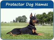 protector dog names female