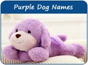Purple Dog Names