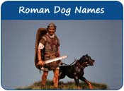 Roman Dog Names