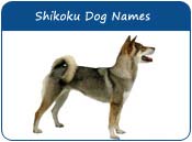 Shikoku Dog Names