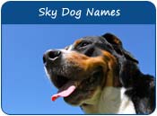 Sky Dog Names