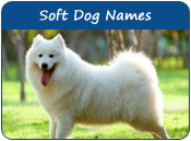 Soft Dog Names