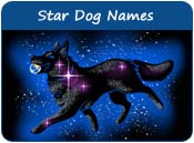 Star Dog Names