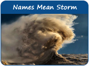 Storm Dog Names