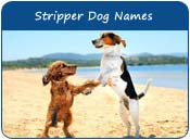 Stripper Dog Names