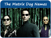 The Matrix Dog Names