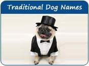 Traditional Dog Names