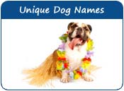 dog names unique