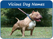 Vicious Dog Names