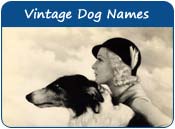 Vintage Dog Names
