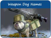Weapon Dog Names
