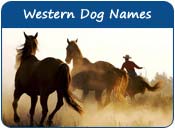 Western Dog Names