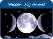 Wiccan Dog Names