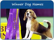 Winner Dog Names