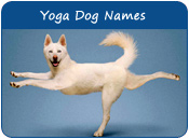 Yoga Dog Names