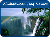 Zimbabwean Dog Names