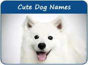 Cute Dog Names