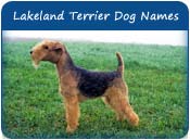 Lakeland Terrier Dog Names