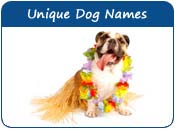 Unique Dog Names