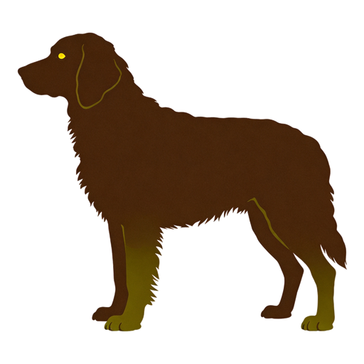 Chesapeake Bay Retriever silhouette at scale