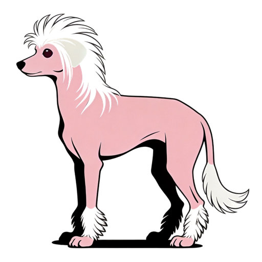 Chinese Crested silhouette at scale