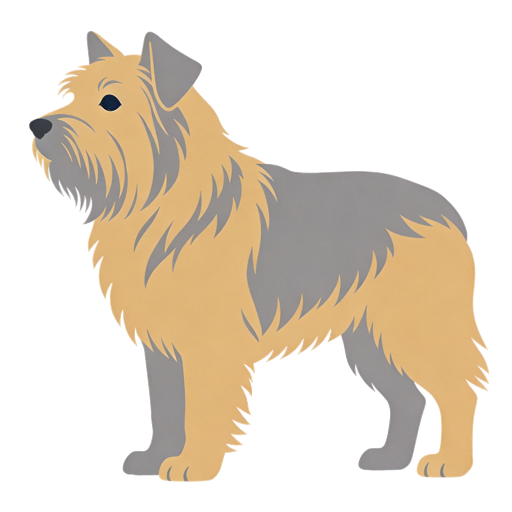 Pyrenean Shepherd silhouette at scale
