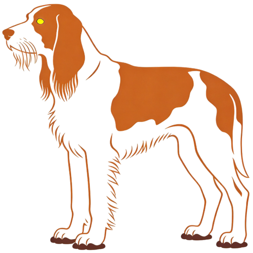 Spinone Italiano silhouette at scale